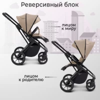 Коляска 2 в 1 SBL Massimo Beige
