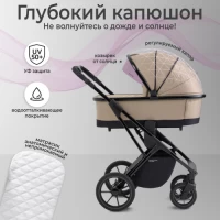 Коляска 2 в 1 SBL Massimo Beige
