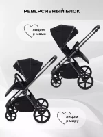 Коляска 2 в 1 RANT TEO Black Chrome Black
