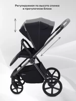 Коляска 2 в 1 RANT TEO Black Chrome Black