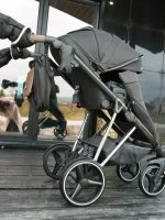 Коляска 2 в 1 Luxmom F1 Черный