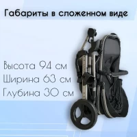 Коляска-трансформер 3в1 Luxmom 558 Черный