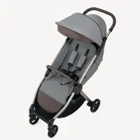 Коляска 2 в 1 Anex iQ Premium Pure Арт iQ-07