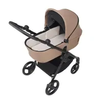 Коляска 2 в 1 Anex iQ Sienna Арт iQ-11-NT