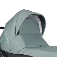 Коляска 2 в 1 Indigo CHARLOTTE Sity т.серый+шалфей Арт cs 02
