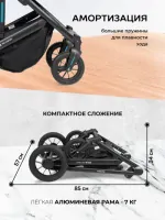 Коляска 3 в 1 Farfello Sola Trio Comfort черный оникс