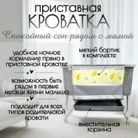 Приставная кроватка BubaGo Velina BG 182-1 Серый