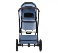 Коляска 2 в 1 Labala Raiz 2025 Sky Blue
