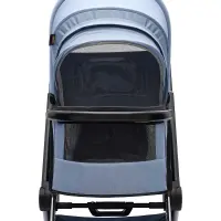 Коляска 2 в 1 Labala Raiz 2025 Sky Blue