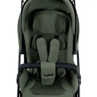 Коляска 2 в 1 Pituso Mayla Plus Deep Green/Black