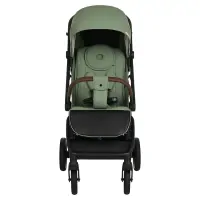 Прогулочная коляска Pituso MATRIX XXL Emerald mood