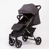 var-Прогулочная коляска Peppy Polo 2.0 хром рама steel grey
