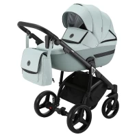 var-Коляска 2 в 1 Adamex Cortina CT-225