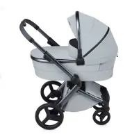 var-Коляска 2 в 1 Anex l/type Frost