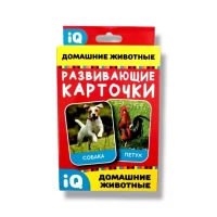 2136-nastolnaia-igra-domasnie-zivotnye