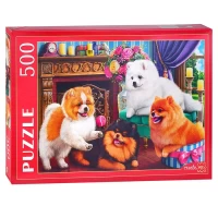 2319-pazly-500-pusistye-spicy-u-kamina