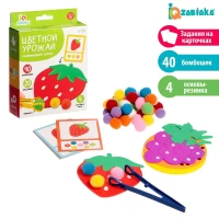 2766-razvivaiushhii-sorter-cvetnoi-urozai