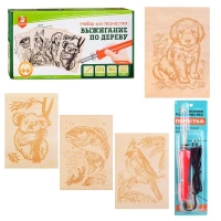 546-vyziganie-nabor-dlia-vyziganiia-po-derevu-apparat-s-nasadkami-doski-5-st