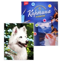 948-kartina-po-nomeram-na-kartone-4050-sm-liubimyi-samoed
